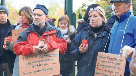 Die Firma Tamax will die Parzellen der Babelsberger Kleingartenanlage Angergrund räumen, obwohl kein Baurecht besteht. Die Gärtner wollen bleiben.