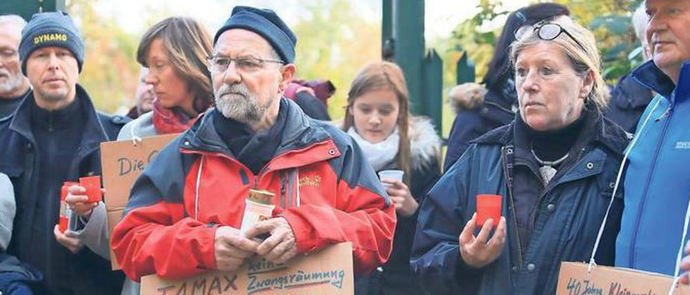 Die Firma Tamax will die Parzellen der Babelsberger Kleingartenanlage Angergrund räumen, obwohl kein Baurecht besteht. Die Gärtner wollen bleiben.