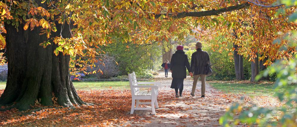 Der Oktober zeigte sich in Potsdam - hier auf der Freundschaftsinsel - oft von seiner goldenen Seite.
