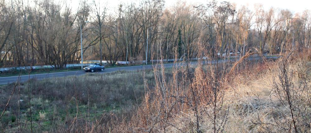 Ursache der Sperrung sind die seit Monaten laufenden Bauarbeiten an der Böschung der Nuthestraße.