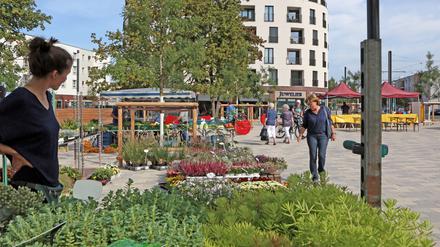 Seit Ende September gibt es einen neuen Wochenmarkt auf dem Johan-Bouman-Platz in Potsdam.