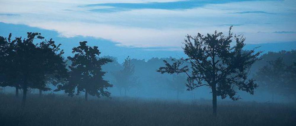 Nebulös. Die Landschaft rund um Potsdam hat schon mehrere Krimiautoren zu mörderischen Geschichten inspiriert. 