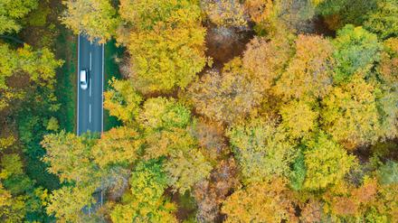 Der Herbst zeigt sich derweil von seiner schönen Seite.