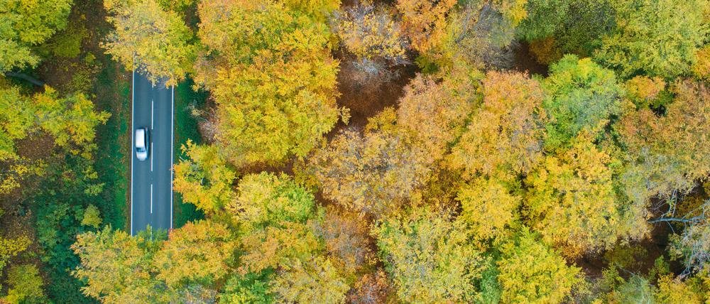 Der Herbst zeigt sich derweil von seiner schönen Seite.
