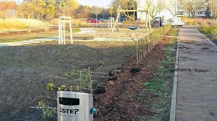 Verwüstet. Unbekannte haben am Bolzplatz in Groß Glienicke randaliert.