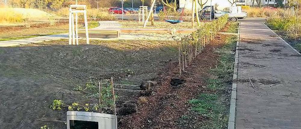 Verwüstet. Unbekannte haben am Bolzplatz in Groß Glienicke randaliert.