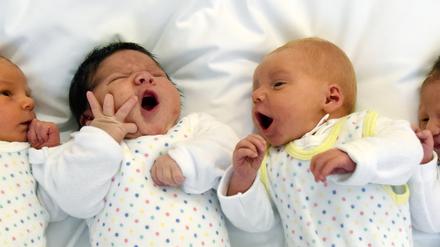 Brandenburgs Nachwuchs. Für die Nachsorge eine Hebamme zu finden, ist für Eltern schwer.