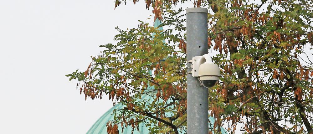 Die Potsdamer Stadtverwaltung prüft eine Videoüberwachung auf der Freundschaftsinsel.