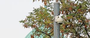 Die Potsdamer Stadtverwaltung prüft eine Videoüberwachung auf der Freundschaftsinsel.