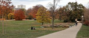 Gegen Vandalismus und Kriminalität: Die Stadtverwaltung prüft eine Videoüberwachung auf der Freundschaftinsel Potsdam.