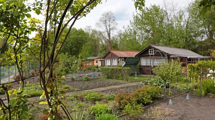 Das neue Kleingartensicherungskonzept wird am Dienstagabend im Bauausschuss der Stadtverordneten thematisiert.
