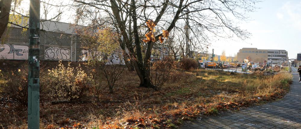 Der Hotelneubau soll an der Babelsberger Straße/Ecke Friedrich-List-Straße entstehen.