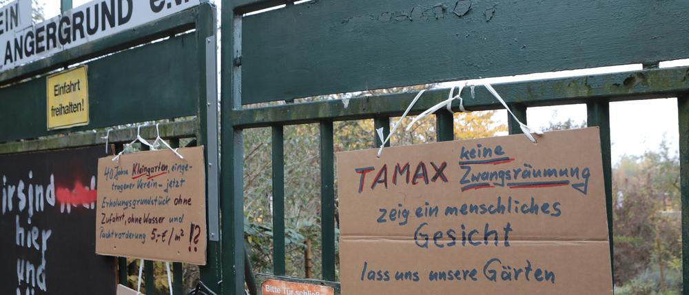 Tamax begann Anfang November die ersten Parzellen der Babelsberger Kleingartensparte Angergrund zu räumen.