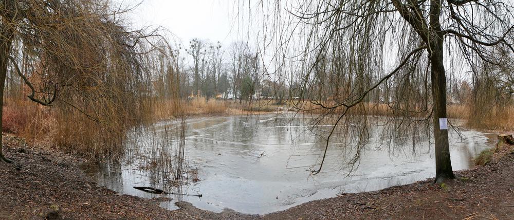Erst vor drei Jahren war der Düppelteich in Kleinmachnow renaturiert worden.