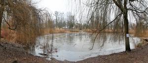 Erst vor drei Jahren war der Düppelteich in Kleinmachnow renaturiert worden.
