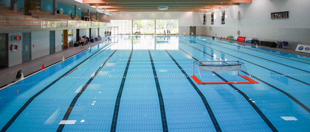 Arena für die Besten. Im Sportbad blu steigt die Deutsche U14-Meisterschaft - mit dem OSC Potsdam.