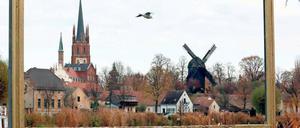 Besonders groß war der Touristenansturm in diesem Jahr in Werder. Die Gäste kamen aus dem In- und Ausland.