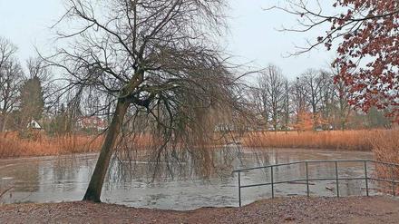Der Kleinmachnower Düppelteich ist so verschlammt, dass er nun ausgebaggert werden muss, damit wieder Wasser nachfließen kann. 