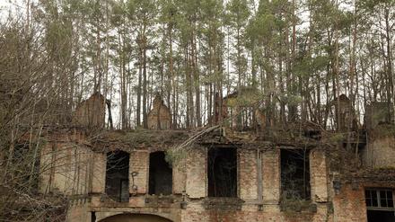 Gerade die Heilstätten in Beelitz sind als Fotomotiv beliebt.