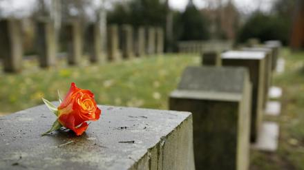 AfD-Vertreter legten einen Kranz auf dem Neuen Friedhof in Potsdam ab. Wenig später war er weg.