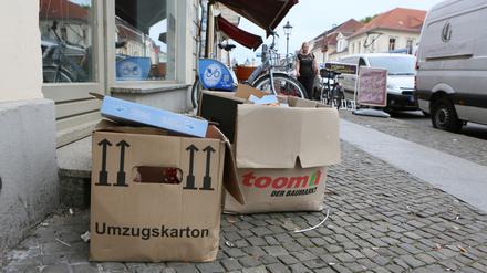 Illegaler Müll sieht unschön aus - und kostet jeden Potsdamer Geld.