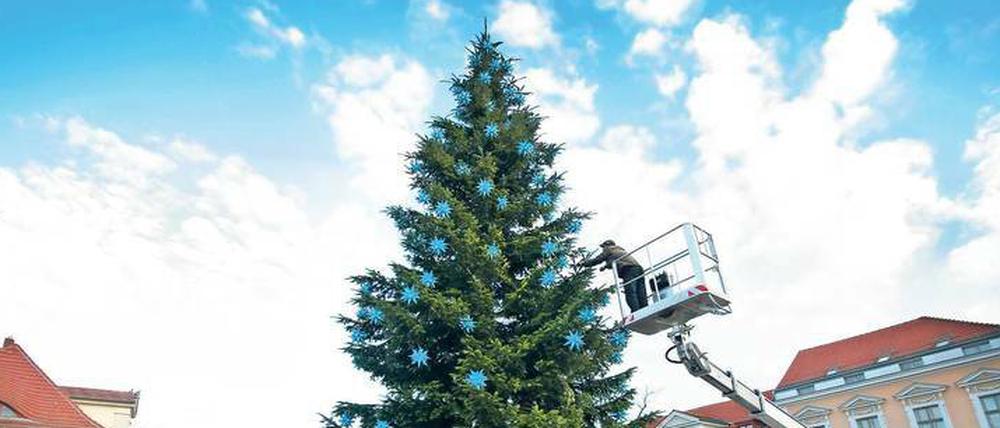 Transporter am Potsdamer Weihnachtsmarkt sollen für Sicherheit gegen möglichen Terror sorgen.