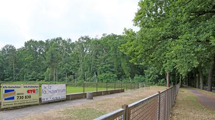 Neue Sportplätze: Nicht mehr nur ein Wäldchen an der Rudolf-Breitscheid-Straße soll in den Blick genommen werden.