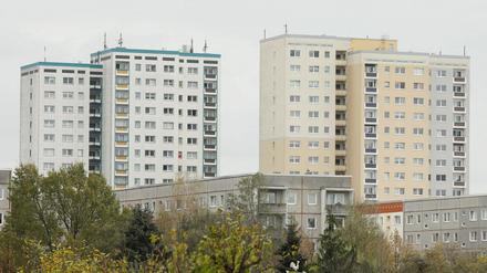 In Potsdam werden durchschnittlich 6,84 Euro Nettokaltmiete pro Quadratmeter fällig.