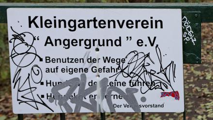 Potsdams Stadtverordnete wollen den Kleingartenverein Angergrund sichern - der Investor droht mit Klage.