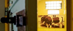 In der Potsdamer Gedenkstätte Lindenstraße gibt es eine Veranstaltung zum Thema "Menschenrechte als Reaktion auf Unrechtserfahrungen".