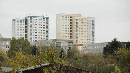 "Vor allem in Potsdam wird es für Familien immer schwerer, eine bezahlbare Wohnung zu finden“, sagte Brandenburgs Ministerpräsident Woidke (SPD).