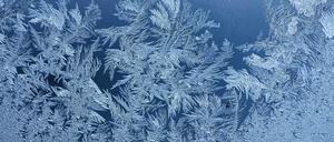 Sieht schön aus, werden wir in Potsdam an Weihnachten aber vielleicht nicht sehen: Eisblumen.