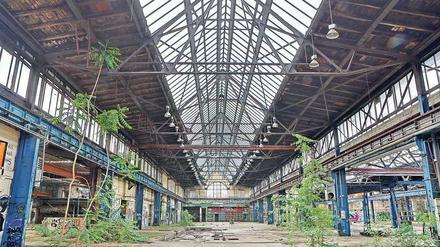 Der Plan an sich, die ehemaligen RAW-Hallen herzurichten, trifft auf Zustimmung. Umstritten ist vor allem der moderne Teil. 
