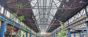 Der Plan an sich, die ehemaligen RAW-Hallen herzurichten, trifft auf Zustimmung. Umstritten ist vor allem der moderne Teil.