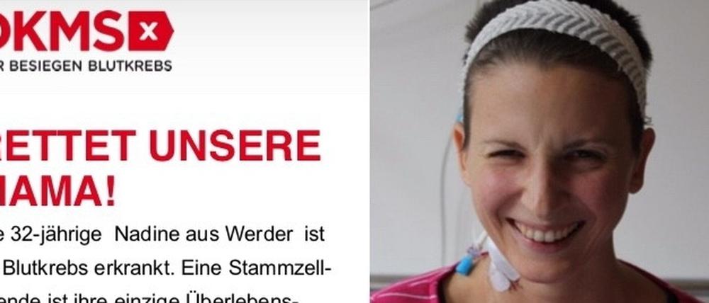 Der Aufruf zur Registrierung für die Stammzellenspende.
