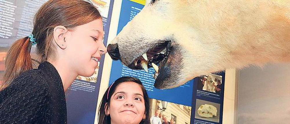 Ein günstiger Museumsbesuch ist im Naturkundemuseum möglich, immer am ersten Montag im Monat gilt ermäßigter Eintritt.