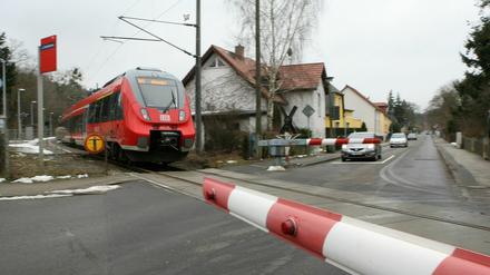 Wegen Baumfällarbeiten fahren vom 21. bis zum 25. Januar keine Züge durch Caputh