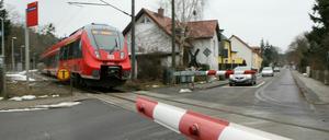 Wegen Baumfällarbeiten fahren vom 21. bis zum 25. Januar keine Züge durch Caputh