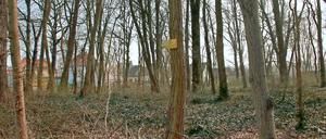 Um den Park und die Nachbarfläche in Teltow wird gerungen.