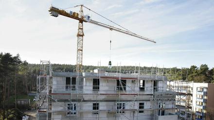 Die Wohnungen am Moosfenn sind eines von drei aktuellen Bauprojekten für sozialen Wohnraum in Potsdam.