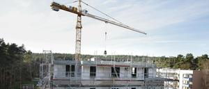 Die Wohnungen am Moosfenn sind eines von drei aktuellen Bauprojekten für sozialen Wohnraum in Potsdam.