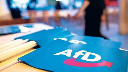 Ansichtssache. Wähler im Osten würden die Partei auch aus Protest wählen, obwohl die AfD laut Analyse gar nicht zur Protestpartei taugt.