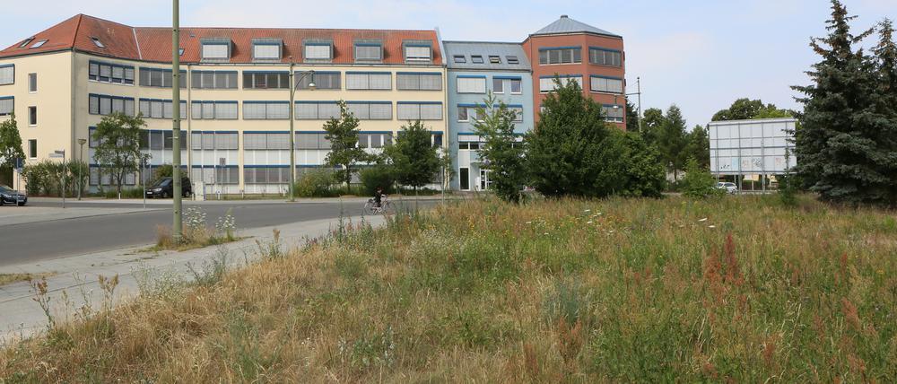 Der damalige Oberbürgermeister Jann Jakobs und damalige Sozial-Beigeordnete und heutige Oberbürgermeister besichtigen im Sommer 2017 das Wohngebiet Kirchsteigfeld. Damals wurden Bebauungspläne für bestehende Brachflächen wurden vorgestellt.
