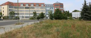 Der damalige Oberbürgermeister Jann Jakobs und damalige Sozial-Beigeordnete und heutige Oberbürgermeister besichtigen im Sommer 2017 das Wohngebiet Kirchsteigfeld. Damals wurden Bebauungspläne für bestehende Brachflächen wurden vorgestellt.