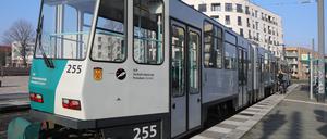 Der Vorfall hat sich nach den Angaben des Familienvaters am Johan-Bouman-Platz in Bornstedt ereignet.