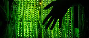 Wie sicher sind wir im Internet unterwegs? Der "Safer Internet Day" macht auf diese Frage aufmerksam.