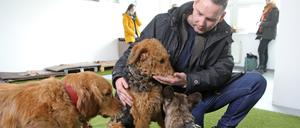 Thomas Riedel betreut die Hunde von Mitarbeitern des Potsdamer Bergmann-Klinikums, doch auch andere können seinen Service nutzen.
