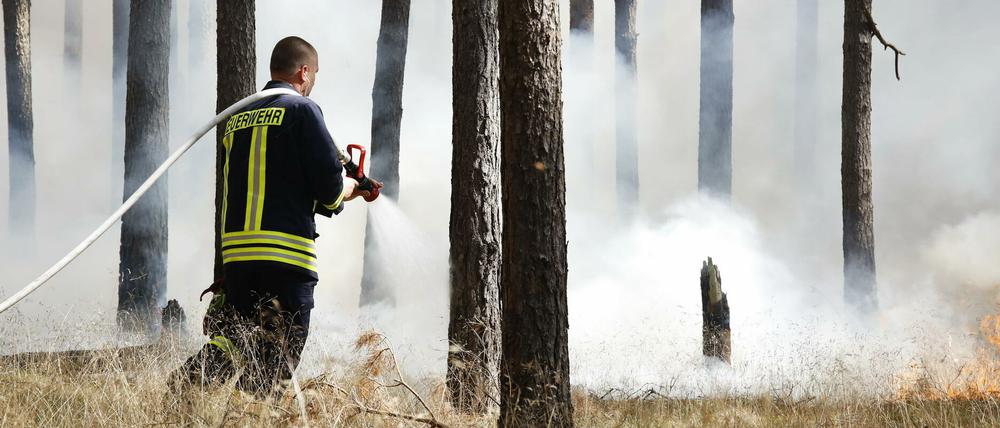 Juli 2018: Bei den Löscharbeiten beim Großbrand in Fichtenwalde waren auch viele freiwillige Helfer eingesetzt. 