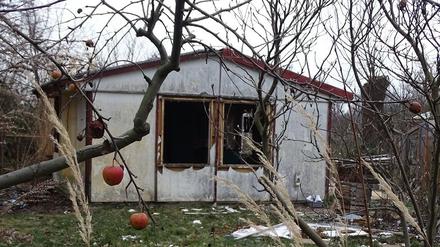 Die Firma Tamax ließ bereits erste Lauben in der Kleingartensparte Angergrund zerstören.