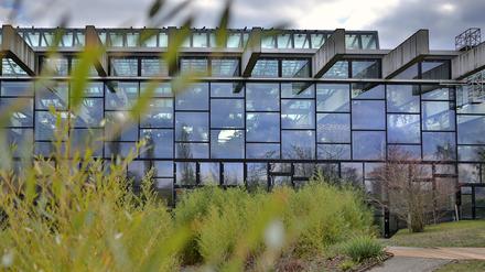 Die Biosphäre in Potsdam soll zu einer Erlebniswelt umgebaut werden.